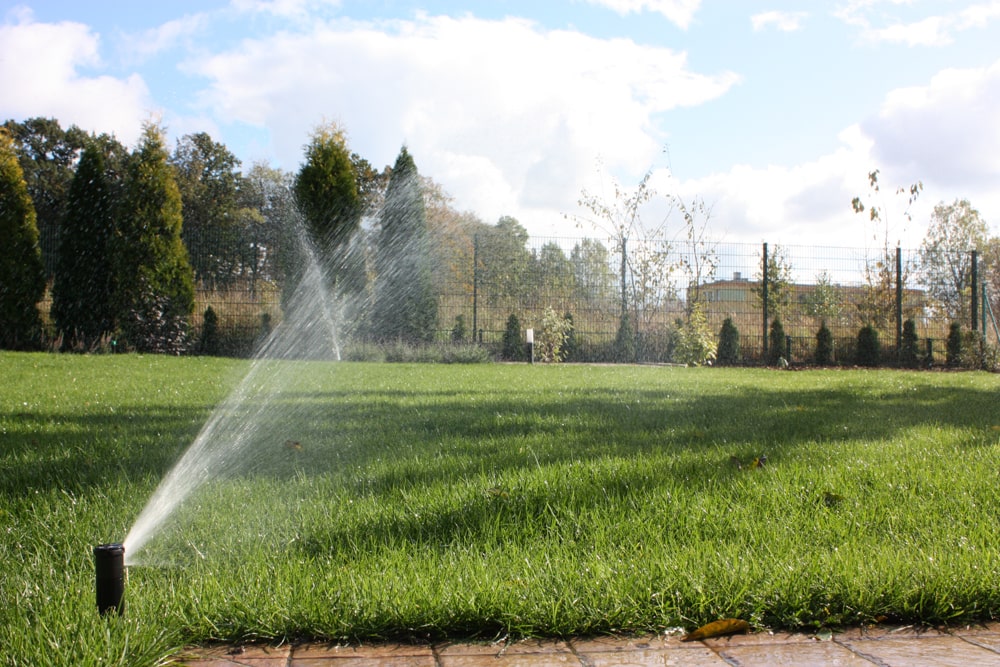 Nawadnianie / Systemy nawadniające