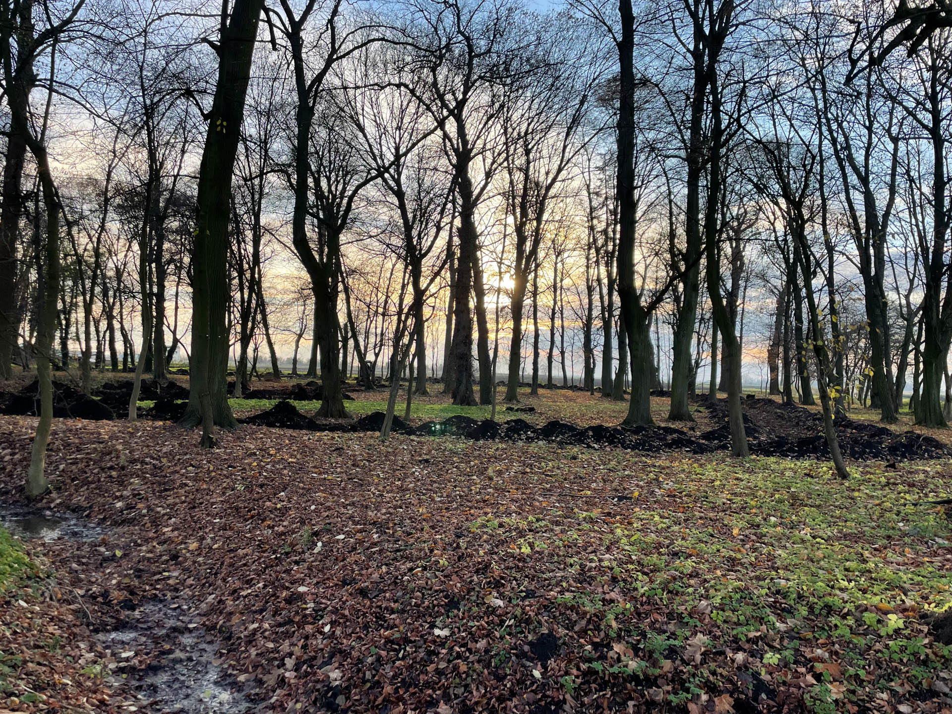 Park Kompleksowe Prace